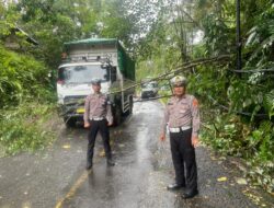 Sat Lantas Polres Pesisir Barat bantu evakuasi tiang listrik roboh yang memenuhi badan jalan