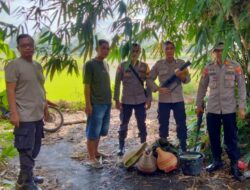 Respon Cepat Pengaduan Masyarakat, Polsek Punggur Grebek Judi Sabung Ayam