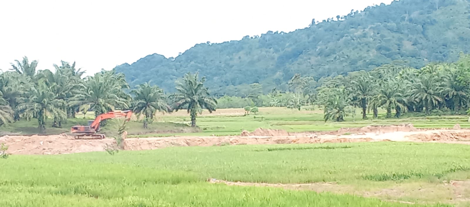 Aliansi Jurnalis Independen Siap Laporkan Tambang Ilegal di kecamatan Sendang Agung ke Polda Lampung, Diduga Ada Oknum Polisi Terlibat