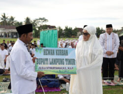 Bupati Ela Salat Idul Adha Bersama Warga Bandar Sribhawono, Serahkan Sapi Kurban untuk Masyarakat
